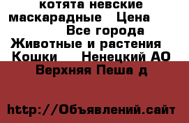 котята невские маскарадные › Цена ­ 18 000 - Все города Животные и растения » Кошки   . Ненецкий АО,Верхняя Пеша д.